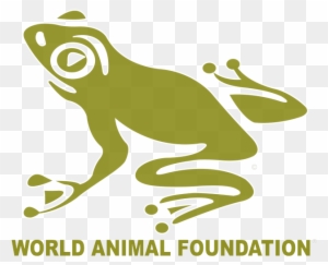 Non Profit Organizations For Animals