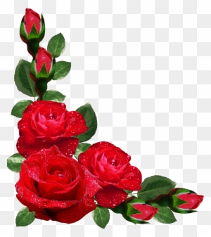 Flower Rose Picture Frames Japanese Border Designs - Rose Flower Frame Png