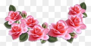Valentines Day Pink Roses