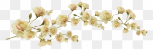1000 Images About Png Series - Aesthetic Flower Transparent