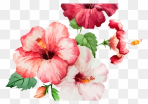 Flower Poppy Color Clip Art - Turquesa Flores Azul Png - Free Transparent PNG Clipart Images Download Flower Poppy Color Clip Art - Turquesa Flores Azul Png - Free Transparent PNG Clipart Images Download