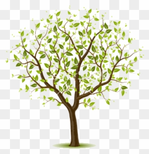 Vectors Illustration Of Tree With Green Leafage - Give The Gift Of Life Be An Organ Donor Picture Frame