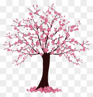 Cherry Blossom Tree Drawing - Cherry Blossom Tree Easy Drawing