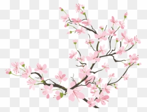 Flowers Cherryblossom Sakura Kawaii Tumblr Ftestickers - Cherry Blossom Png