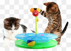 Cheese Chase Track Ball Cat Toy - Happy Cat Kitty Wave