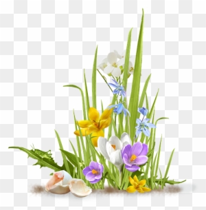 Spring, Flower, Crocus, Saffron, Grass, Shell, Egg - Spring Flower Png