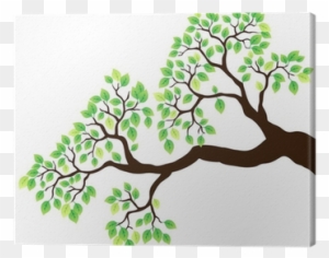 Tree Branch With Green Leaves 1 Canvas Print • Pixers® - Vector Tree Branch Leaves