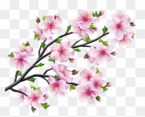 Cherry Blossom Drawing Tree - Sakura Cherry Blossom Tree