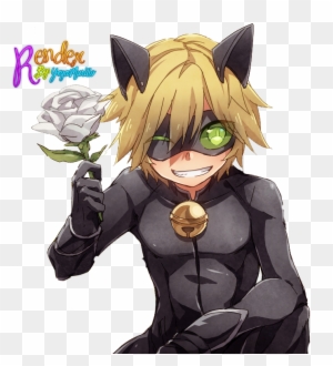 Adrien Agreste Black Cat Kitten Online Chat - Ladybug Anime Chat Noir