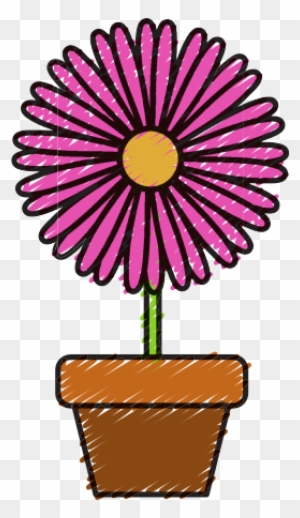Flower In A Pot Illustration - Common Sunflower