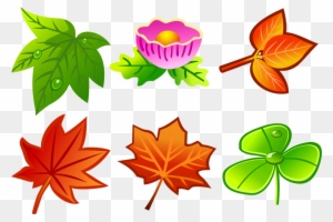 All Types Of Leaves