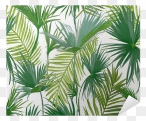 Tropical Palm Leaves, Jungle Leaves Seamless Vector - Palm Leaf