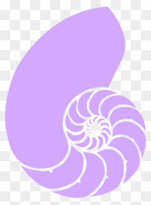 Purple Nautilus Shell Clip Art At Clker - Purple Sea Shell Png