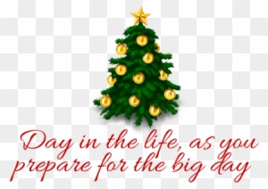 Buttons For Every Day - Christmas Tree Oval Car Magnet