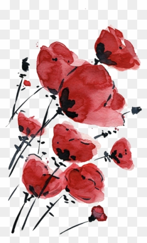 Valentine Sale Poppies Field On A Windy Day Original  Watercolor Poppy  Tattoo Design  Free Transparent PNG Clipart Images Download