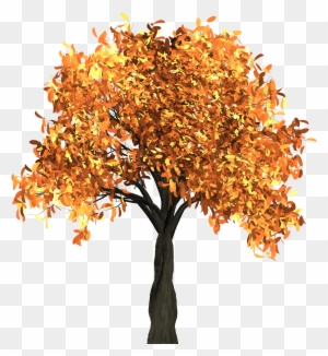 Apple Tree Has Yellow Leaves Download - Fall Tree Transparent Background