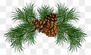 Christmas Pine Cone Clipart - Pine Cones Clip Art