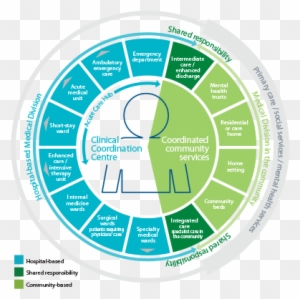 Circle Of Patient Centered Care - Patient Centered Care Chart - Free ...