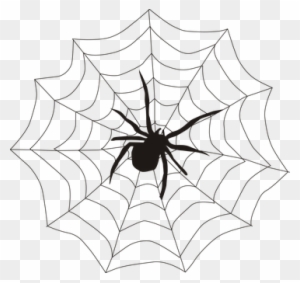 Spider Spider's Web Spiderweb Cobweb Creep - Spider On Web Clipart