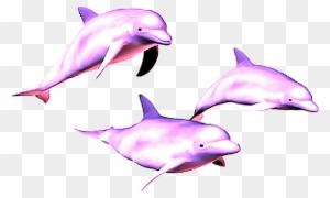 Delfines Rosa Vaporwave Vaporware Aesthetic - Vaporwave Dolphin Png