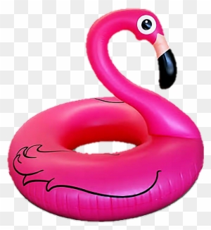 Flamingo Inflatable Pool Summer - Flamingo Pool Party Png