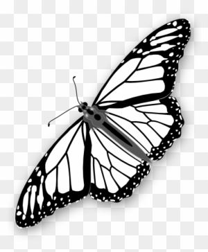 Clipart Info - Monarch Butterfly Outline Png