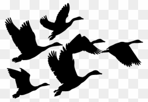 Canada Goose Duck Bird Flock - Geese Flying Clip Art