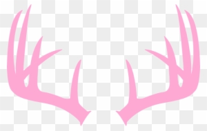 Deer Antlers With Bow