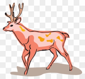 Red Deer Style Wild Animal Unusual - Red Deer Easy Drawing