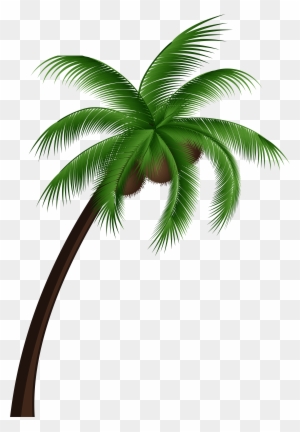 Coconut Palm Tree Png Clip Art - Coconut Tree With Coconut Png