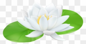 Water Lily Transparent Png Clip Art Image - Water Lily Transparent Background