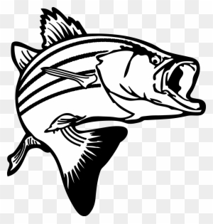 Jumping Bass Fish Clip Art - Fish Clipart Black And White