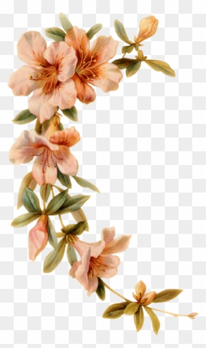 Flores Acuarela Png Con Marco - Free Transparent PNG Clipart Images Download