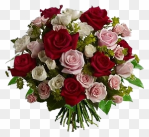 Le Rose - Roses Flowers Online - Love Letters - Flowers Delivered