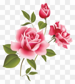 Lindas Flores Em Png E Hd Pink Roses Clipart Free Transparent Png Clipart Images Download