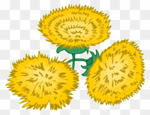 2 - Sunflower