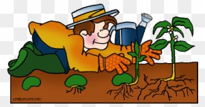 Life Cycle Of A Plant Coloring Page - Clip Art - Full Size PNG Clipart ...