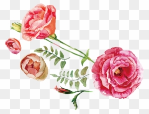 Rose Flower Bouquet Illustration - Watercolor Flowers Vector Free Download