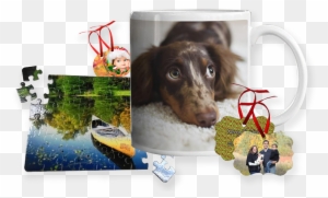 Print Beautiful Photo Gifts With Artisan - Case For Ipad 2 3 4 Lakeside Design