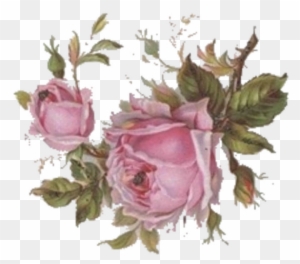 Click On Image To Enlarge, Then Right Click And Save - East Urban Home 'vintage Rose' Print On Metal, Pink