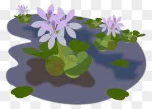 Pond Clipart Transparent - Free Water Plant Pngs
