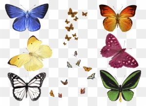 Free Free 294 Realistic Flying Butterfly Svg SVG PNG EPS DXF File