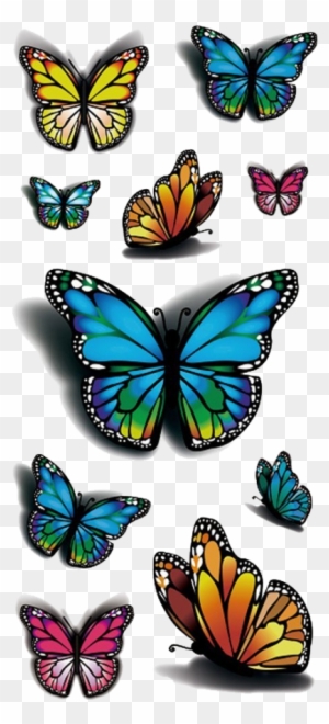 Butterfly Tattoo Design 3d