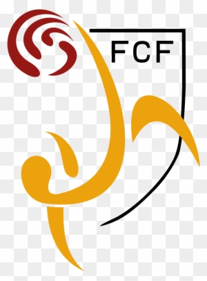 Catalonia National Football Team - Catalonia National Football Team Logo