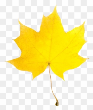 Fall Leaf - Yellow Fall Leaf Clip Art