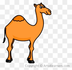 Premium Vector | Cute camel vector illustration of an animal