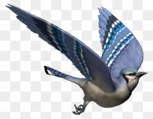 images Dove Gif Transparent Background flight transparent fly bird gif