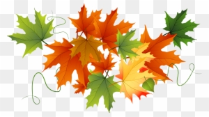 Autumn Transparent Leaves Gallery Yopriceville - Fall Leaves Clear Background