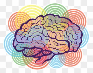 Brain Graphic Design Png