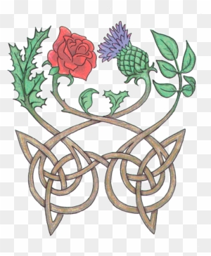 "and From His Grave Grew A Red, Red Rose - Thistle And The Rose "and From His Grave Grew A Red, Red Rose - Thistle And The Rose